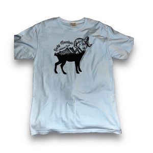 NWOT never worn light blue graphic Nationals Park t-shirt. Size: M